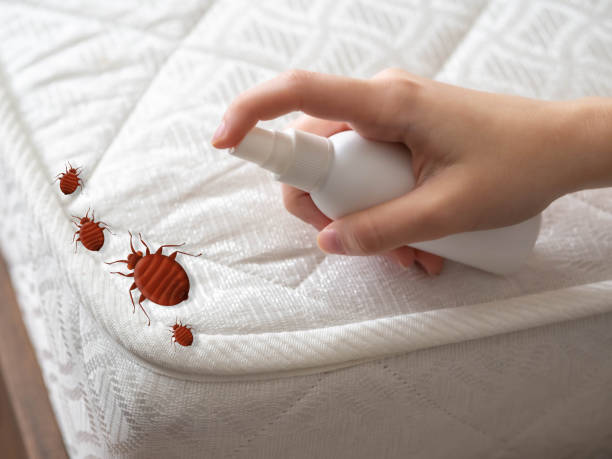 Best Residential Pest Control  in Burgaw, NC